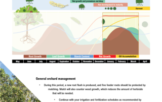 Orchard Management Hints - page two